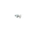 Chain Link 1/4" x 3/4" Carriage Bolt & Nut (Hot Dip Galvanized Steel)