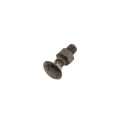 Chain Link 3/8" x 1 1/4" Carriage Bolt & Nut (HDG & Powder Coated Black)