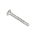 5/16" x 2 1/2" Carriage Bolts & Nuts 
