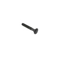 Chain Link 5/16" x 2" Carriage Bolt & Nut (HDG & Powder Coated Black)