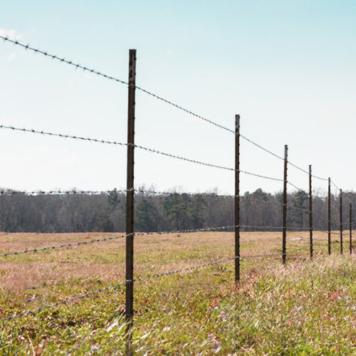 Barbed Wire Fencing on Texas Ranch and Farm