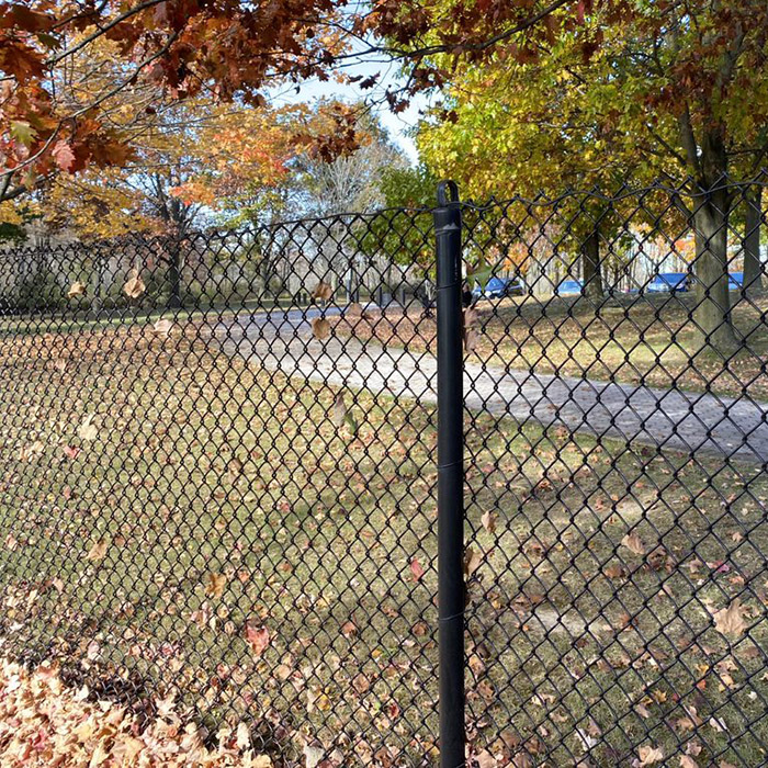 Chain Link Fence Powder-Coated In Black