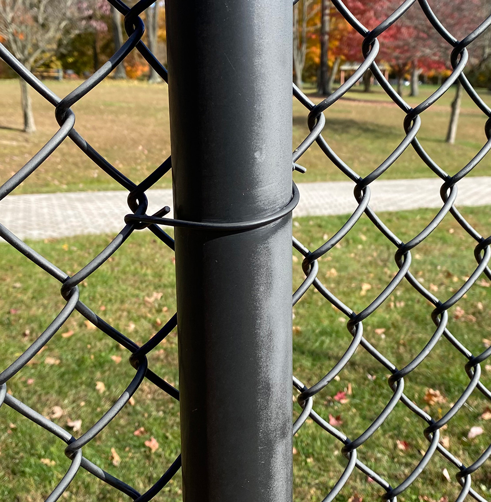 Will Chain Link Fence Work to Keep my Chickens in? - Resources Hub -  Resources
