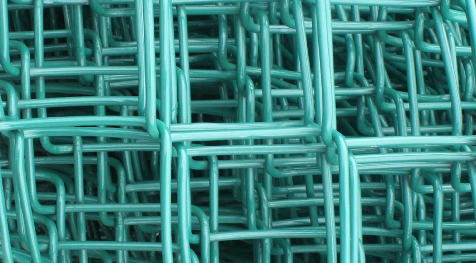 Chain Link Fence Green Powder-Coated Finish Installation