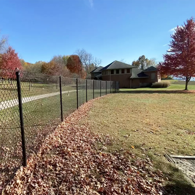 Black Chain Link Fence