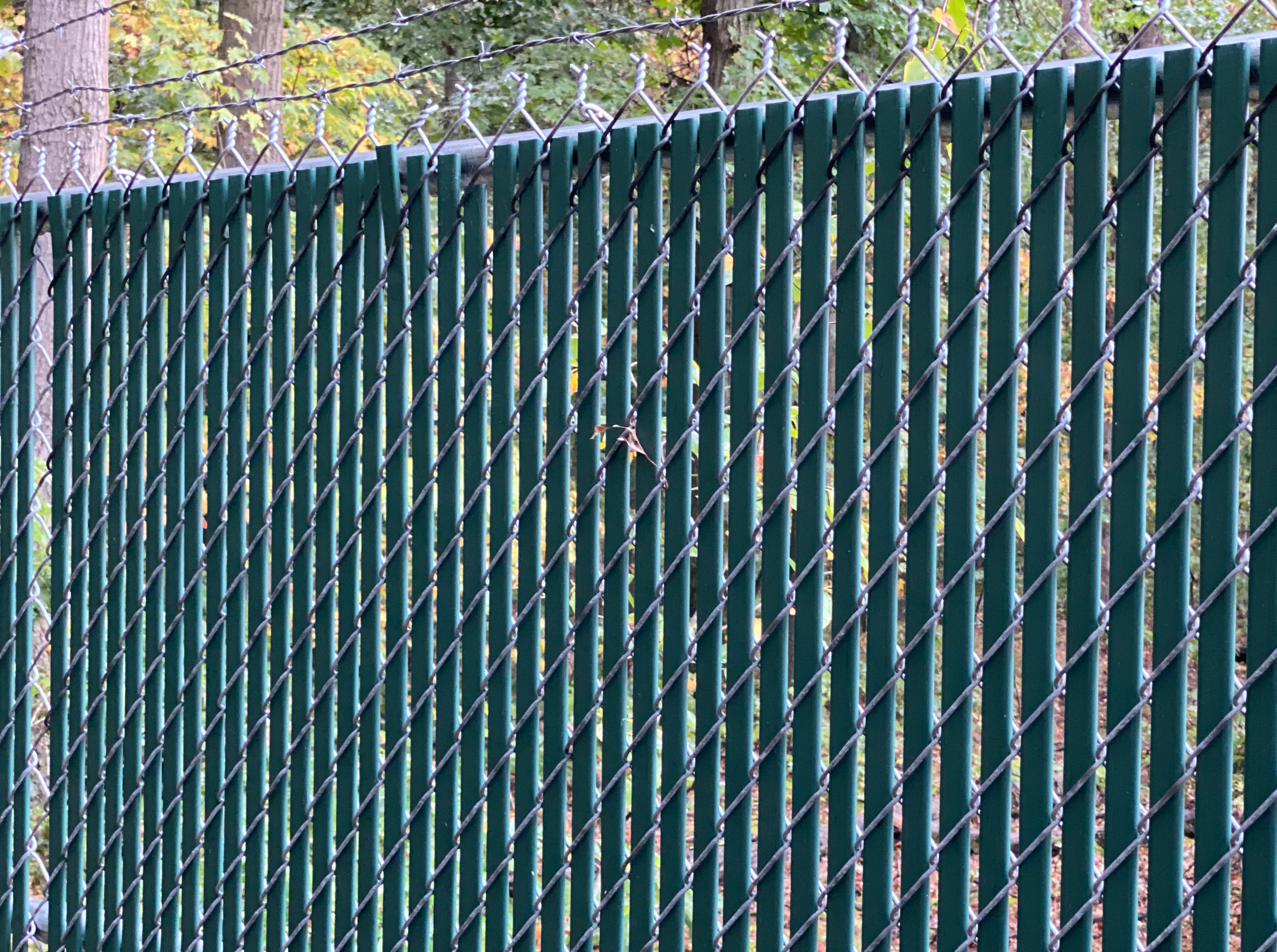 Barbed Wire Fence On Chain Link Fence