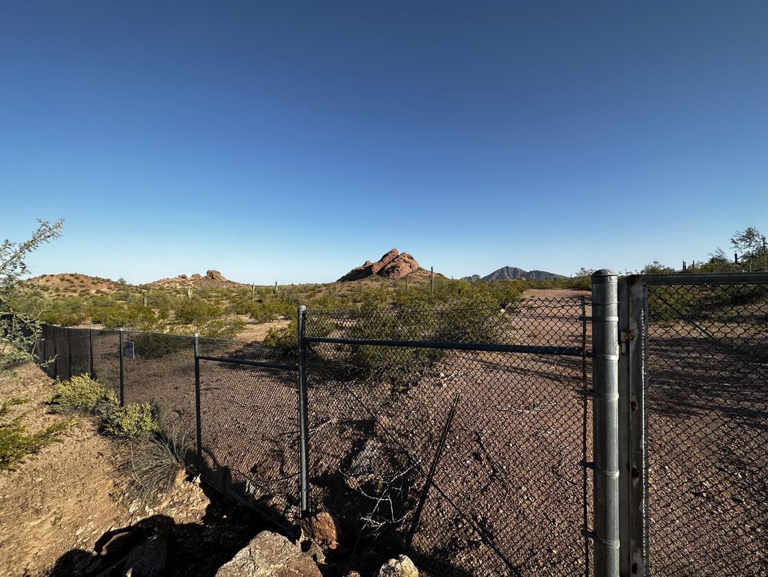 chain link fence for animals