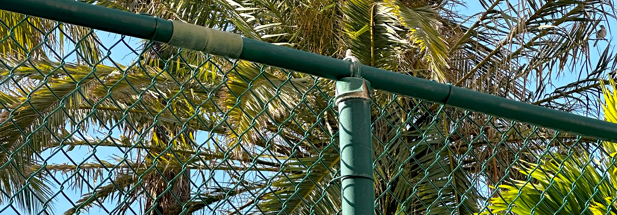 green chain link fence installed